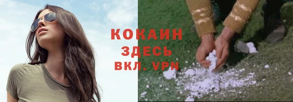 мет Арсеньев