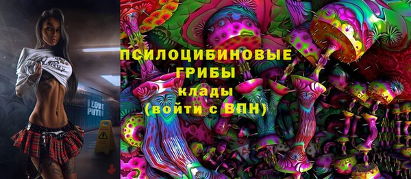 мет Арсеньев