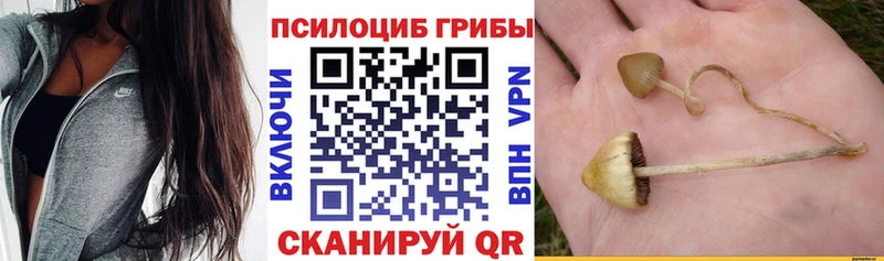 где найти   кракен ссылки  Галлюциногенные грибы прущие грибы  Усть-Лабинск 